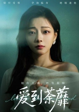 爱到荼蘼