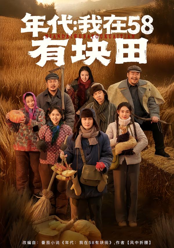 年代我在58有块田