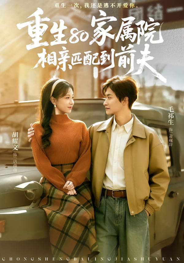 重生80家属院，相亲匹配到前夫