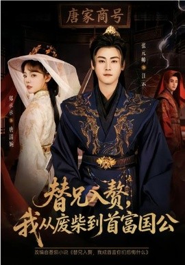 替兄入赘，我从废柴到首富国公