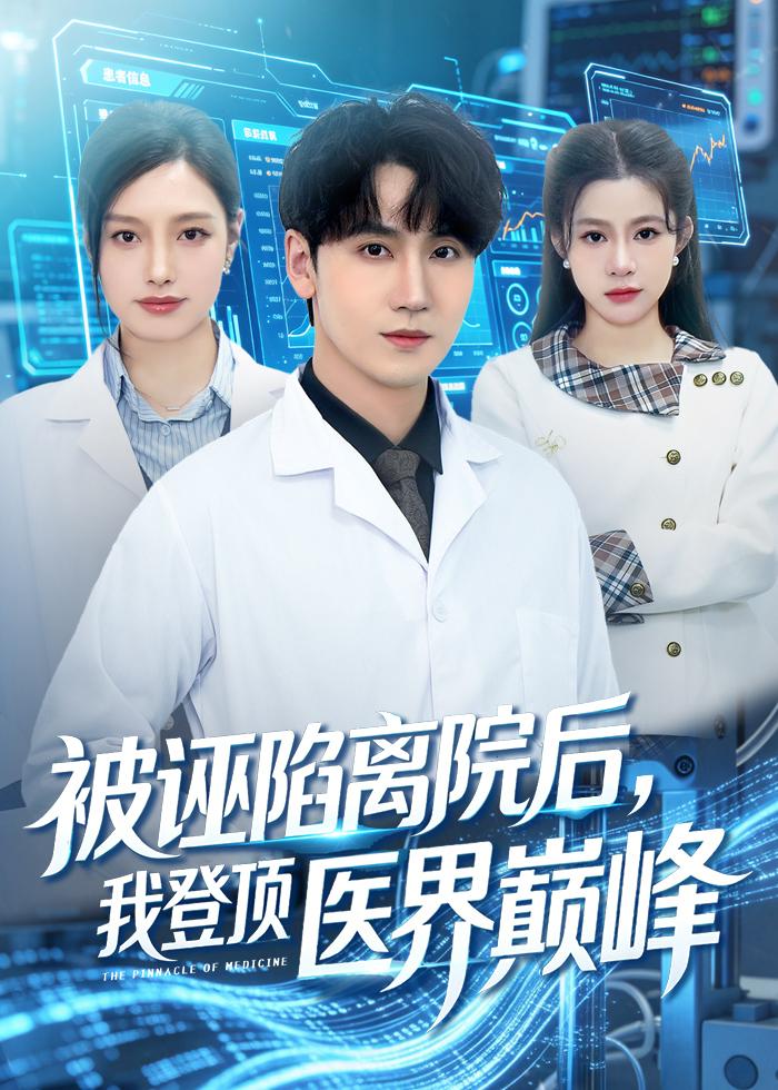被诬陷离院后，我登顶医界巅峰