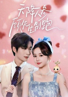 天降人参顾先生别跑