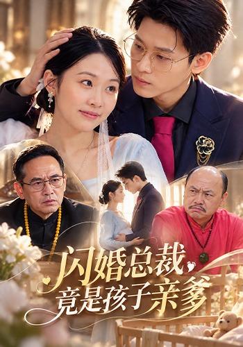 闪婚总裁,竟是孩子亲爹