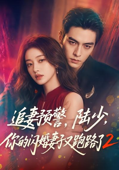 追妻预警，陆少，你的闪婚妻子又跑路了2